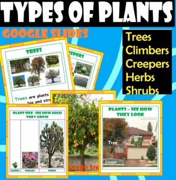 Preview of Types of Plants-Trees,Creepers,Climbers,Herb,Shrubs-Real images. GOOGLE SLIDES