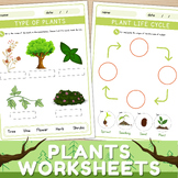 Types of Plants worksheet | Plant Life Cycle Activity