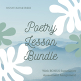 Types of Poetry Lesson Bundle