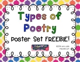 Types of Poetry ~ Poster Set FREEBIE!