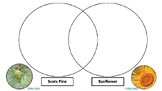 Types of Pollination - Venn Diagrams