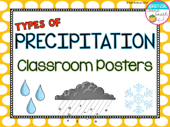 Preview of Types of Precipitation Classroom Posters