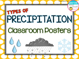 Types of Precipitation Classroom Posters