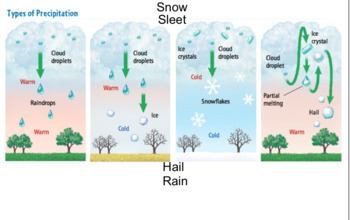 Preview of Types of Precipitation Labeling Activity - SMART Notebook