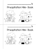 Types of Precipitation Mini Book