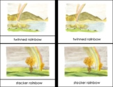 Types of Rainbows Montessori 4 Part Cards