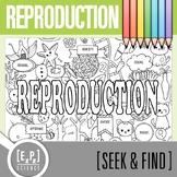 Types of Reproduction Vocabulary Search Activity | Seek an