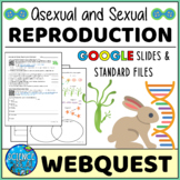 Types of Reproduction Webquest - Asexual and Sexual Reprod