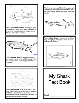 Preview of Types of Sharks Booklet