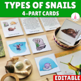 Types of Snails Montessori 4 part Cards Activity