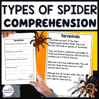 Preview of Types of Spiders | Reading Comprehension Passages and Questions