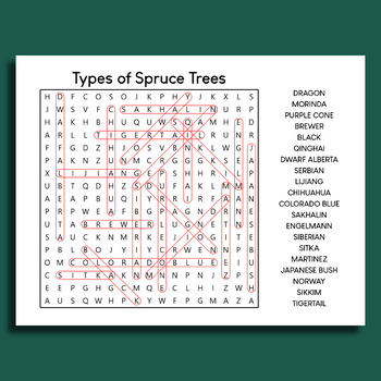 Types of Spruce Trees Word Search Puzzle Worksheet Printable