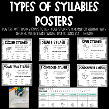 Preview of Types of Syllables Posters for Reference
