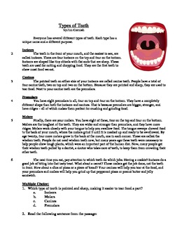 Preview of Types of Teeth - Informational Text Test Prep