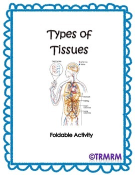 Preview of Types of Tissues