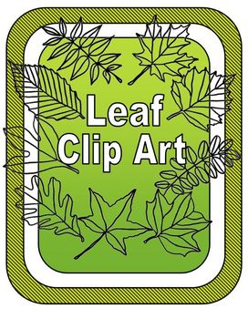 Preview of Leaf Clipart: Types of Tree Leaves Line Drawings
