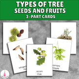 Types of Tree Seeds and Fruits Montessori 3-part cards
