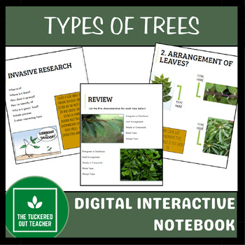 Preview of Types of Trees Digital Interactive Notebook