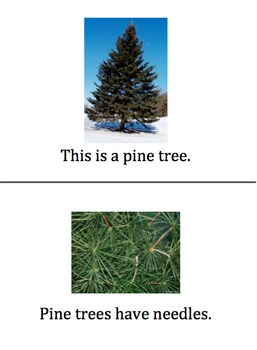 Preview of Types of Trees Easy Reader