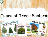 Types of Trees Posters