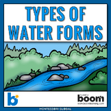 Types of Water Forms