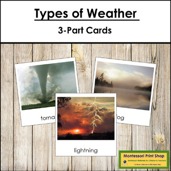 Preview of Types of Weather 3-Part Cards - Montessori Nomenclature