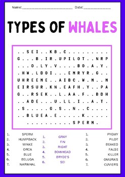 Types of Whales Word Search Puzzles Worksheet Activity TPT