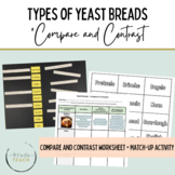 Types of Yeast Breads : Compare and Contrast (UPDATED!)