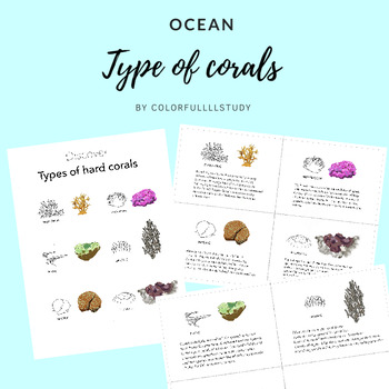 Preview of Types of corals by colorfullllstudy