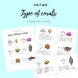 Types of corals by colorfullllstudy