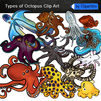 Preview of Types of Octopus Clip art/ Octopus clipart commercial use