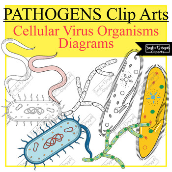 Preview of Types of pathogens , Clip Arts,  parasite, Protozoa , Fungi , Prokyrote