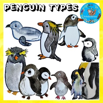 Preview of Types of penguins clipart and flashcards