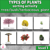 Types of Plants Sorting Montessori Activity (tree, bush, h
