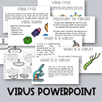 Preview of Types of virus and viral cycle powerpoint notes