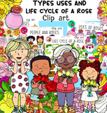 Types, uses and life cycle of a rose- Bundle 134 items!