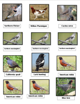 Preview of U.S. Official State Birds