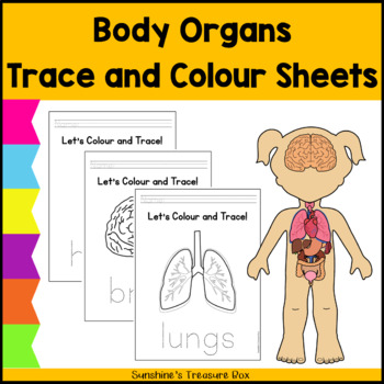 UK Human Body Organs Trace & Colour Sheets Inside the Human Body Trace ...