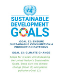 UN Sustainable goals Unit