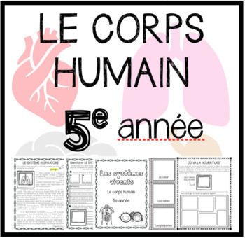 Preview of UNITÉ DE SCIENCES: Le corps humain (5e année)