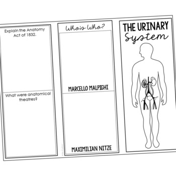 31 Urinary System Coloring Pages - Free Printable Coloring Pages