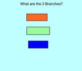 U.S. Branches of Government Lesson/Review