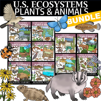 Preview of US Ecosystems Clipart