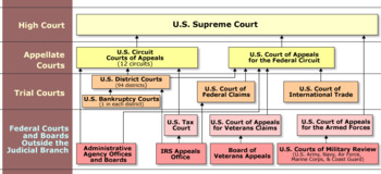 Preview of US Federal Court Graphic Organizer