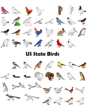 US State Birds and US State Flowers Clip Art BUNDLE by ...