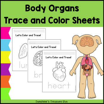 Preview of USA Human Body Organs Trace & Color Sheets | Inside the Human Body Trace & Color