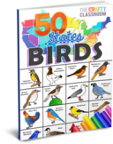 USA State Bird Activity Pages