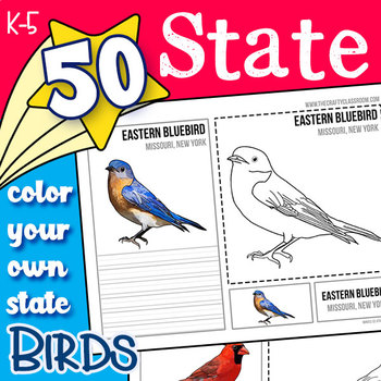 Preview of USA State Bird Art Cards