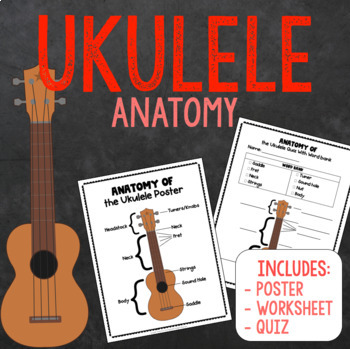 Preview of Ukulele Anatomy Music Worksheet and Quiz