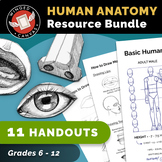 Ultimate HUMAN ANATOMY - Art Handouts & Worksheets